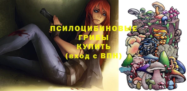 гидропоника Заволжск