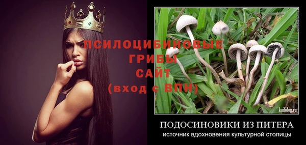 стаф Заволжье