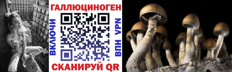 Псилоцибиновые грибы мухоморы  Купить  Ладушкин 